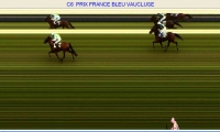 6 �me course, prix France Bleu Vaucluse, arriv�e 6-10-11-7 Disqualifi�s 4-8-9-12