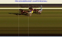 Prix L�on BERNUSSET 6 �me course arriv�e 8-15-13-14 Disqualifi�s 1-2-9-12