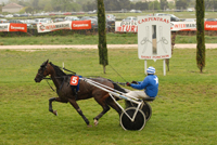 6EME COURSE PRIX FERNAND CAZAN - CHALLENGE REMI SADET ARRIVEE : 5 6 12 13 DISQUALIFIES : 7 8 3 10 9 ARRETES : 2 4