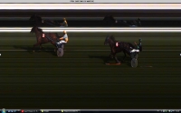 6eme course prix du bar PMU du march� - Carpentras arriv�e : 2 6 11 8 disqualifi�s : 1 et 4