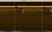 6EME COURSE PRIX LEON BERNUSSET ARRIVEE : 8 1 9 2 DISQUALIFIE : 12