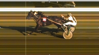 7EME COURSE<br>PRIX LEON BERNUSSET<br>ARRIVEE : 16 - 6 - 3 - 10<br>DISQUALIFIES : 2 - 5 - 8
