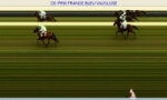 6 �me course, prix France Bleu Vaucluse, arriv�e 6-10-11-7 Disqualifi�s 4-8-9-12