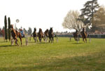 6�me course Prix Robert CREMIEUX, Quart� + R�gional. Ariv�e 5-7-12-11 Disqualifi� le 6