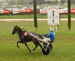6EME COURSE PRIX FERNAND CAZAN - CHALLENGE REMI SADET ARRIVEE : 5 6 12 13 DISQUALIFIES : 7 8 3 10 9 ARRETES : 2 4