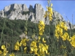Beaumes de Venise, Gigondas et Vacqueyras Les 26 et 27 juin 2008 se tiendra le 2�me Forum International PLANETE & TERROIRS sous le patronage de l'UNESCO avec la venue de Monsieur Michel BARNIER Ministre de l'agriculture et de la p�che.