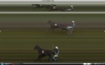 7EME COURSE PRIX FERNAD CAZAN - CHALLENGE REMI SADET - LA PROVENCE
ARRIVEE : 9 10 13 15
DISQUALIFIES : 1 5 12