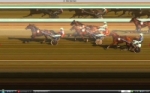 6�me course Prix du Bar PMU du March�, Quart� + r�gional.
Arriv�e 8 12 2 14 Diqualifi�s 1 et 5